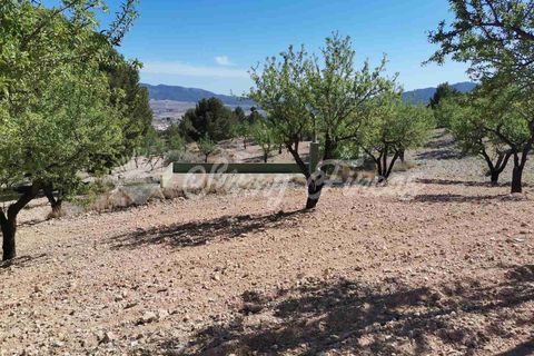 Masia a Salinas, Alicante, Salinas - € 85.000 | Ref: SF0447 - foto 30